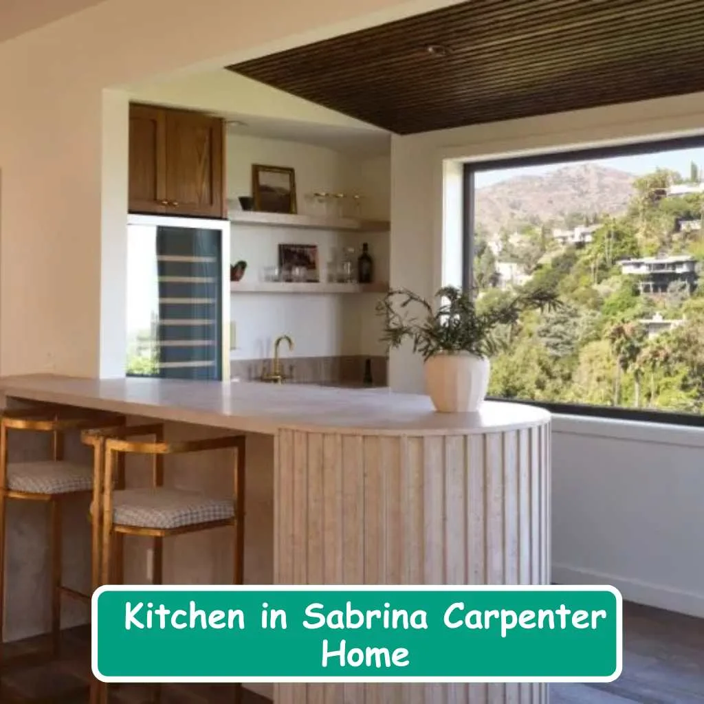 Kitchen in Sabrina Carpenter Home