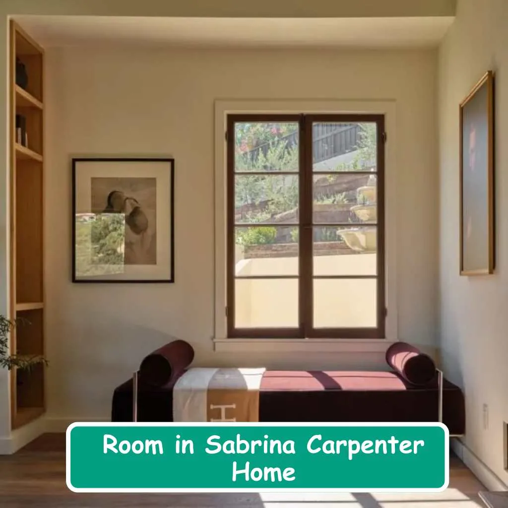 Room in Sabrina Carpenter Home