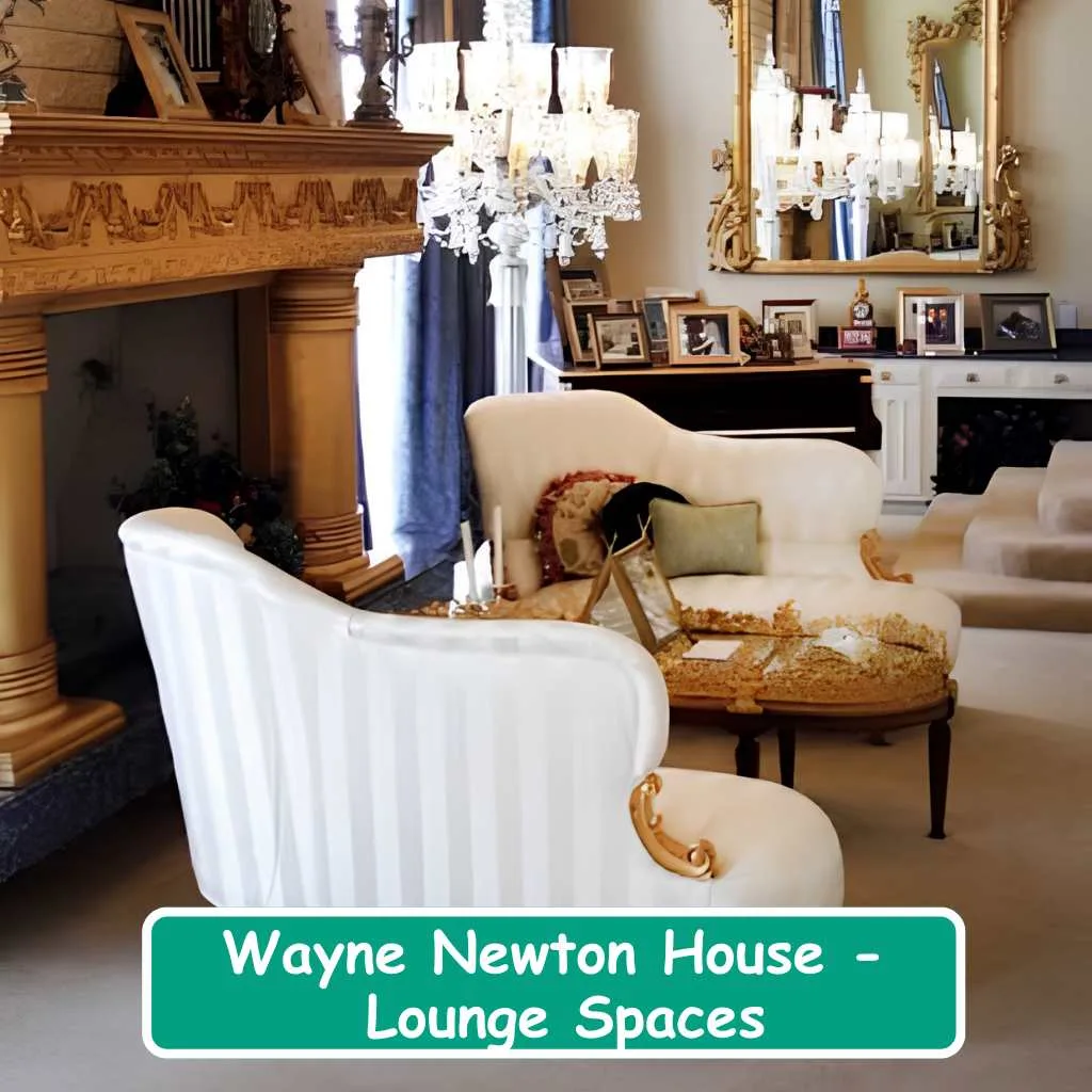 Wayne Newton House Lounge Spaces