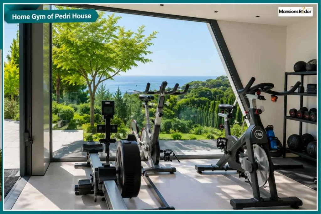 Home Gym of Pedri House