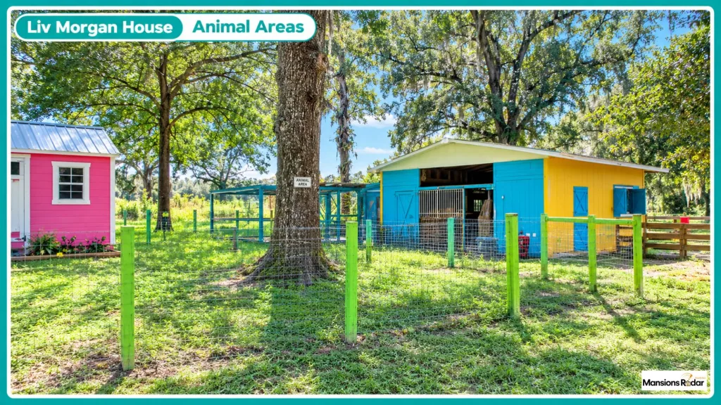 Liv Morgan House Animal Areas
