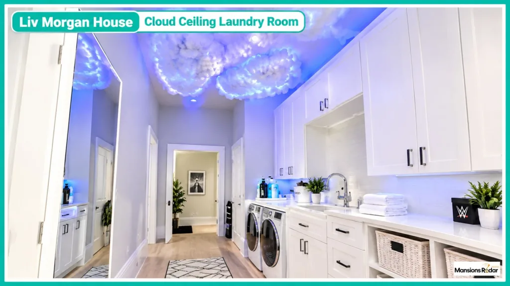 Liv Morgan House Cloud Ceiling Laundry Room
