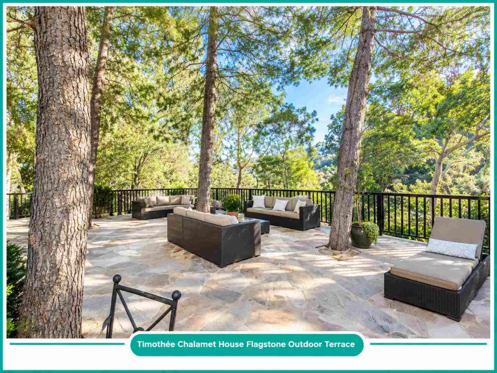 Timothée Chalamet House Flagstone Outdoor Terrace
